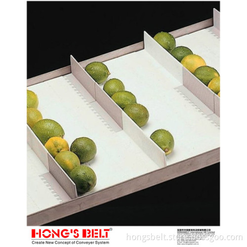 Hongsblt 2'food Grade Modular Belt (HS-100A)